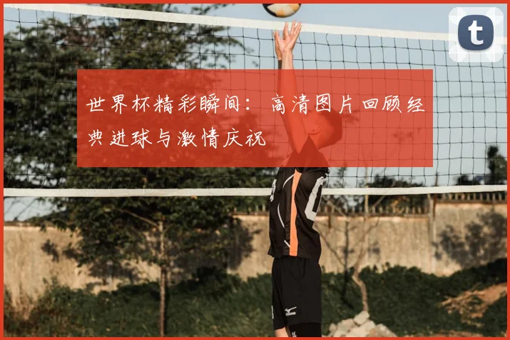 世界杯精彩瞬间:高清图片回顾经典进球与激情庆祝